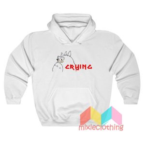 Sonic Crying Totoro Hoodie