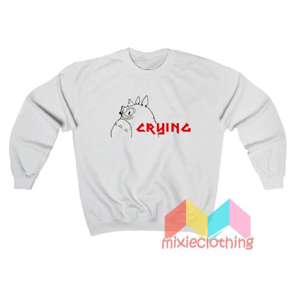 Sonic Crying Totoro Sweatshirt