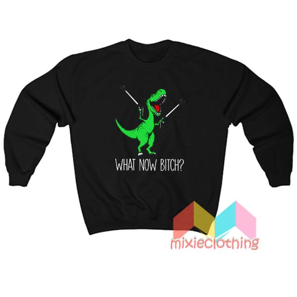 T Rex Dinosaur What Now Bitch Sweatshirt