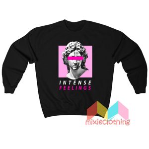 Vaporwave Intense Feelings Sweatshirt