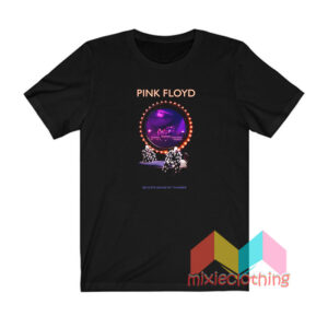 Pink Floyd Delicate Sound Of Thunder T shirt